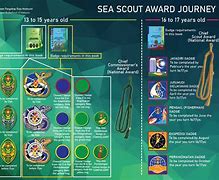 Image result for King Scout Award Competitive Swimmer
