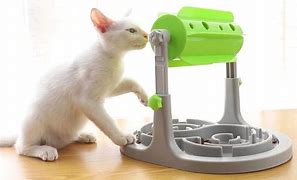 Image result for Cat Puzzle Feeder
