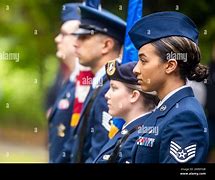 Image result for Welford Air Guard