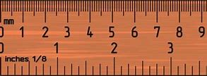 Image result for What Does 10 Centimeters Look Like