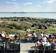 Image result for Lake Balaton Wine Tours