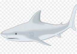 Image result for Shark Fin Emoji
