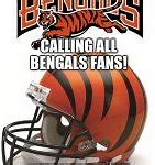 Image result for Bengals Memes