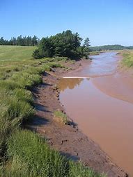 Image result for Tidal Bore Watching