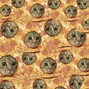 Image result for Cat Pizza Face