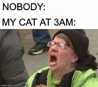 Image result for Cats at 3Am Meme