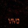 Image result for Vivo Y11 Logo