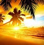 Image result for Tropical Island Zoom Background