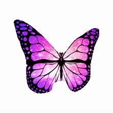 Image result for Butterfly Sticker GIF