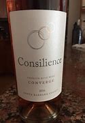 Image result for Consilience Converge