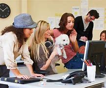 Image result for Have Fun at Work Today England Meme