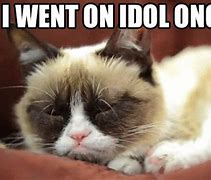 Image result for Funny Cat Quotes