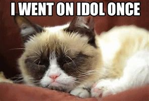 Image result for Funny Cat Quotes and Sayings