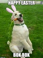 Image result for Happy Easter Dog Meme