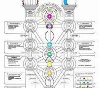 Image result for 8 Circuit Model of Consciousness