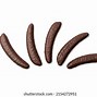 Image result for One Long Banana