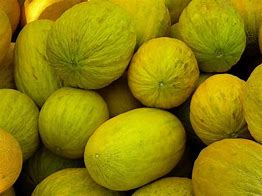 Image result for Unripe Crenshaw Melon