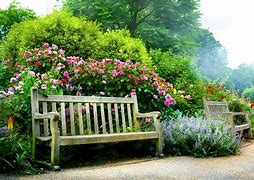 Image result for Garden iPhone Wallpaper