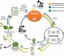 Image result for Compostable Packaging Solutions