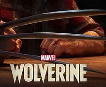 Image result for Wolverine Game