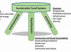 Image result for Sustainable Development Cartoon