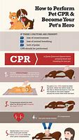Image result for Pet CPR Meme