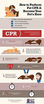 Image result for Pet CPR Certification