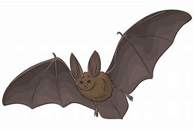 Image result for Bat Clip Art Big