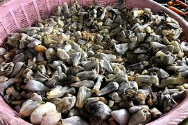 Image result for cuitlacoche