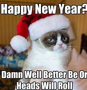 Image result for Happy New Year Funny Pics