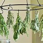 Image result for Hanging Drying Rack