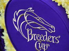 Image result for Breeders' Cup