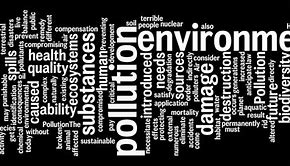 Image result for Words Relating to Environment