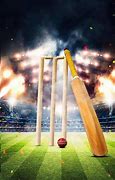Image result for Cricket Ball Editing