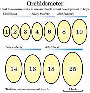 Image result for Bead Chain Sizes