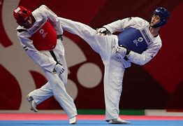 Image result for World Champion Taekwondo