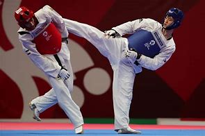 Image result for Korean Taekwondo