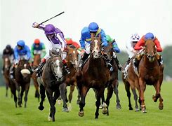 Image result for Dramatic Horse Racing Wallpaper
