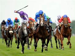 Image result for Free Horse Racing Wallpaper