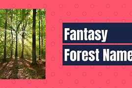 Image result for Mystical Forest Names