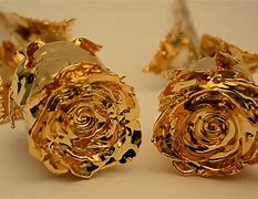 Image result for Show Me a Gold Rose