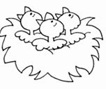 Image result for Printable Bird Nest Coloring Pages