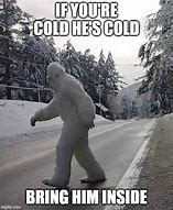 Image result for Bigfoot Shovel Snow Meme