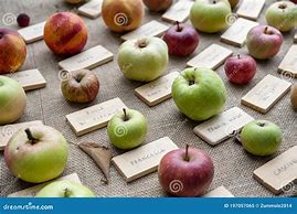 Image result for New Apple Varieties