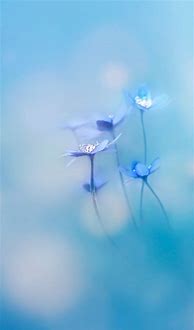 Image result for Beautiful iPhone Background Simple