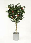 Image result for Artificial Apple Tree