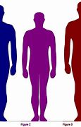Image result for 5'2 Person