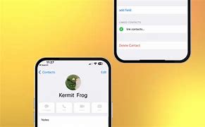 Image result for Block Contact iPhone