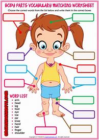 Image result for Body Parts Vocabulary Worksheet