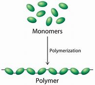 Image result for Polymer Chemistry PDF